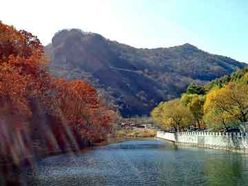 澳门二四六天天彩图库，泸市